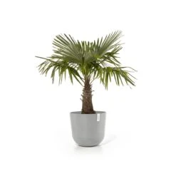 Ecopots Oslo Bloempot Ø 55 Cm - Witgrijs -Meubels Voor Thuis 10113562
