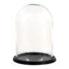 Clayre & Eef Stolp Ø 23x30 Cm Hout Glas Rond Glazen Stolp -Meubels Voor Thuis 10250483