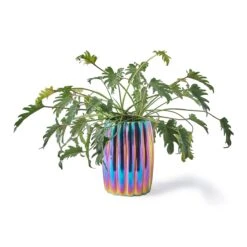 POLSPOTTEN Oily Bloempot -Meubels Voor Thuis 10288037