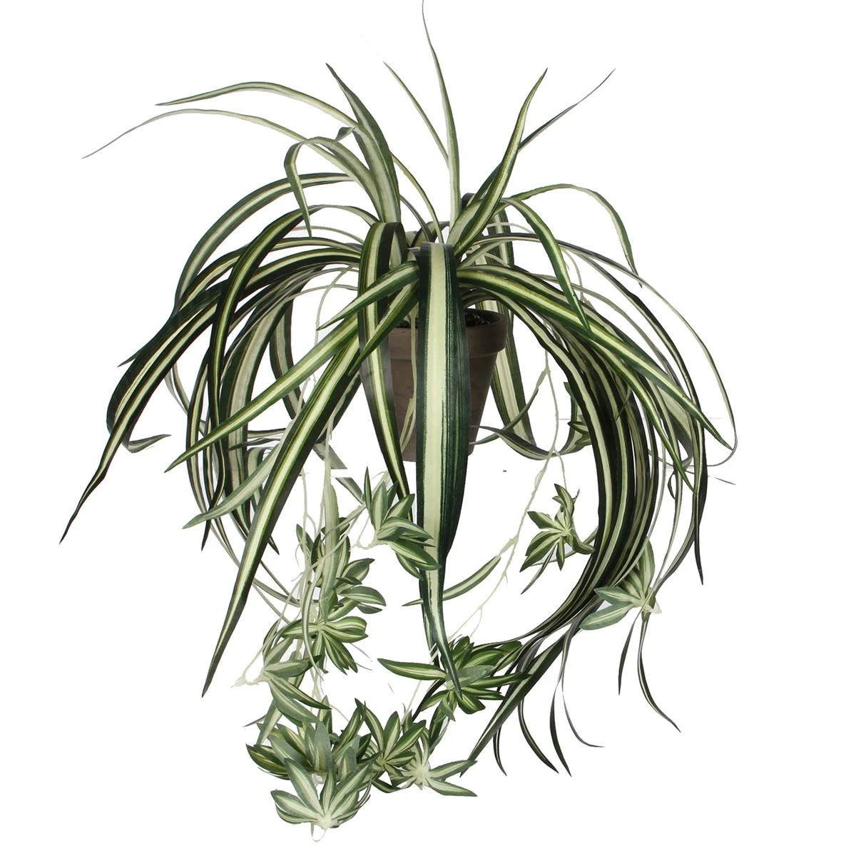 Mica Decorations Chlorophytum Kunstplant 45 Cm 3 Mica Decorations Chlorophytum Kunstplant 45 Cm