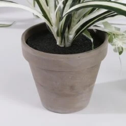 Mica Decorations Chlorophytum Kunstplant 45 Cm 14 Mica Decorations Chlorophytum Kunstplant 45 Cm -Meubels Voor Thuis 10325162