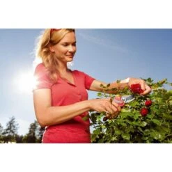 Wolf-Garten Premium Plus RR4000 Snoeischaar -Meubels Voor Thuis 10377566