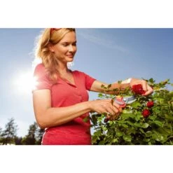 Wolf-Garten Premium Plus RR4000 Snoeischaar -Meubels Voor Thuis 10377580