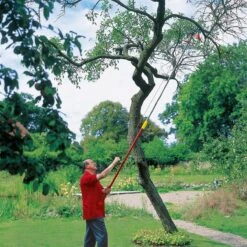 Wolf-Garten MultiStar Rc-M Boomschaar -Meubels Voor Thuis 10417376