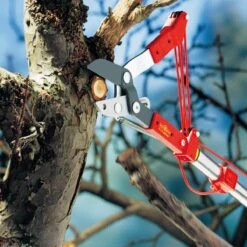 Wolf-Garten MultiStar Rc-M Boomschaar -Meubels Voor Thuis 10417377