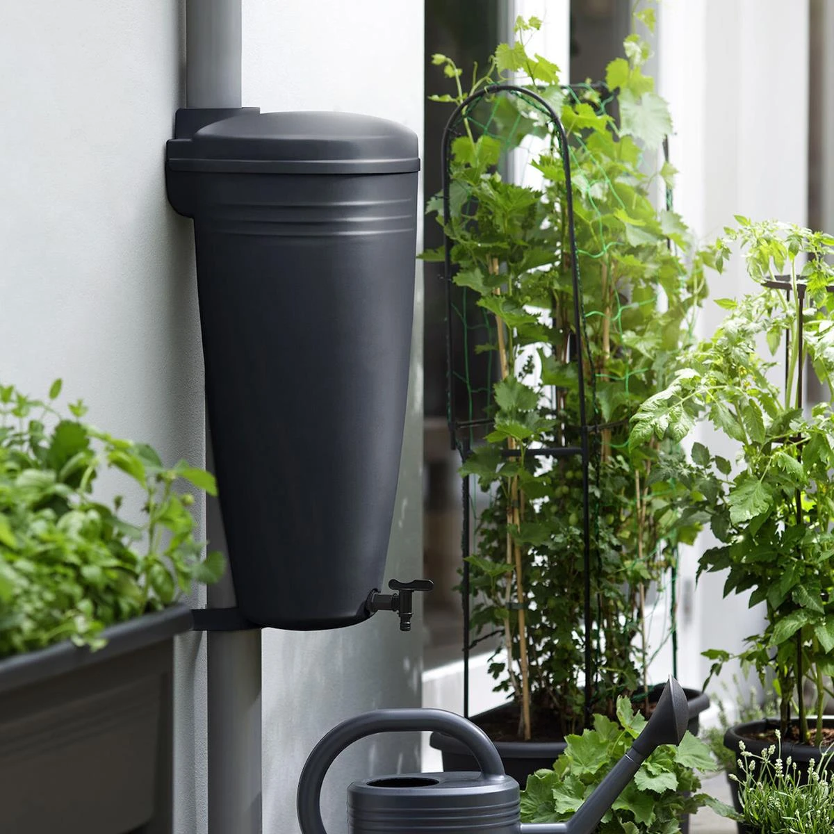 Elho Green Basics Regenton 35 L - Zwart 7 Elho Green Basics Regenton 35 L - Zwart - Afbeelding 5