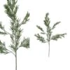 PTMD Twig Plant Podocarpus Kunsttak - 53 X 21 X 97 Cm - Groen -Meubels Voor Thuis 10463140