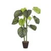 Mica Decorations Caladium Kunstplant - H100 X Ø50 Cm - Lichtgroen -Meubels Voor Thuis 10500735