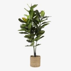 Mica Decorations Rubberplant Kunstplant - H120 X Ø60 Cm - Groen -Meubels Voor Thuis 10508341