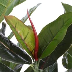 Mica Decorations Rubberplant Kunstplant - H120 X Ø60 Cm - Groen -Meubels Voor Thuis 10508342