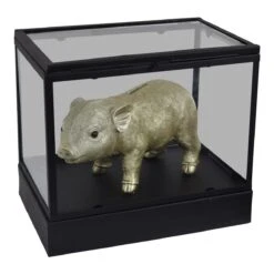 LOFT42 Showy Glazen Display Box Zwart - Metaal - (27x30x20)