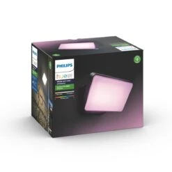 Philips Hue White & Color Ambiance Discover Floodlight 17 Philips Hue White & Color Ambiance Discover Floodlight -Meubels Voor Thuis 10570850