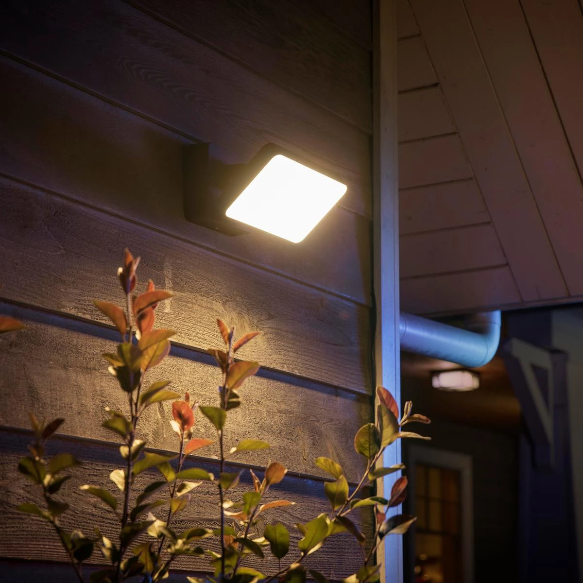 Philips Hue White & Color Ambiance Discover Floodlight 10 Philips Hue White & Color Ambiance Discover Floodlight - Afbeelding 8