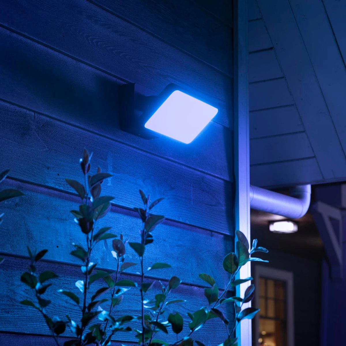 Philips Hue White & Color Ambiance Discover Floodlight 11 Philips Hue White & Color Ambiance Discover Floodlight - Afbeelding 9
