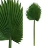 PTMD Leaves Plant Fan Palm Kunstblad - 35 X 34 X 94 Cm - Groen
