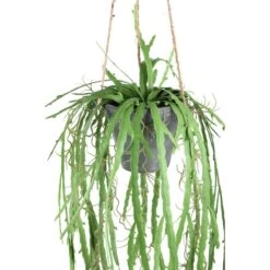 PTMD Aloë Vera Kunstplant - 73 X 23 X 92 Cm - Kunststof - Groen