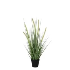 Mica Decorations Dogtail Gras Kunstplant - H53 X Ø30 Cm - Groen