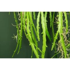 PTMD Aloë Vera Kunstplant - 73 X 23 X 92 Cm - Kunststof - Groen -Meubels Voor Thuis 10722634