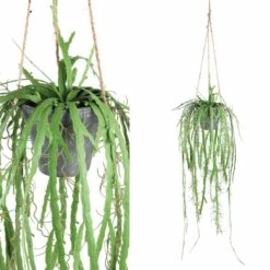 PTMD Aloë Vera Kunstplant - 73 X 23 X 92 Cm - Kunststof - Groen -Meubels Voor Thuis 10722636