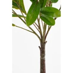 Mica Decorations Olijf Kunstplant In Bloempot - H75 X Ø15 Cm - Groen -Meubels Voor Thuis 10722662