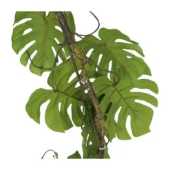 Kopu® Hangplant Split Philodendron 119 Cm - Macramé Plantenhanger XL -Meubels Voor Thuis 10722761