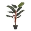 Mica Decorations Calathea Roseopicta Kunstplant - H90 X Ø60 Cm - Groen