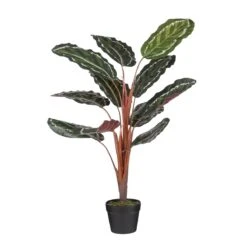 Mica Decorations Calathea Roseopicta Kunstplant - H90 X Ø60 Cm - Groen