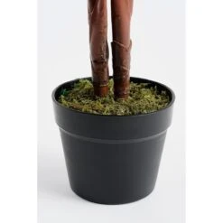 Mica Decorations Calathea Roseopicta Kunstplant - H90 X Ø60 Cm - Groen -Meubels Voor Thuis 10722855