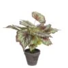 Mica Decorations Begonia Kunstplant - H40 X Ø38 Cm - Rood 2 Mica Decorations Begonia Kunstplant - H40 X Ø38 Cm - Rood -Meubels Voor Thuis 10793885