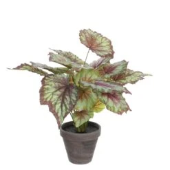 Mica Decorations Begonia Kunstplant - H40 X Ø38 Cm - Rood