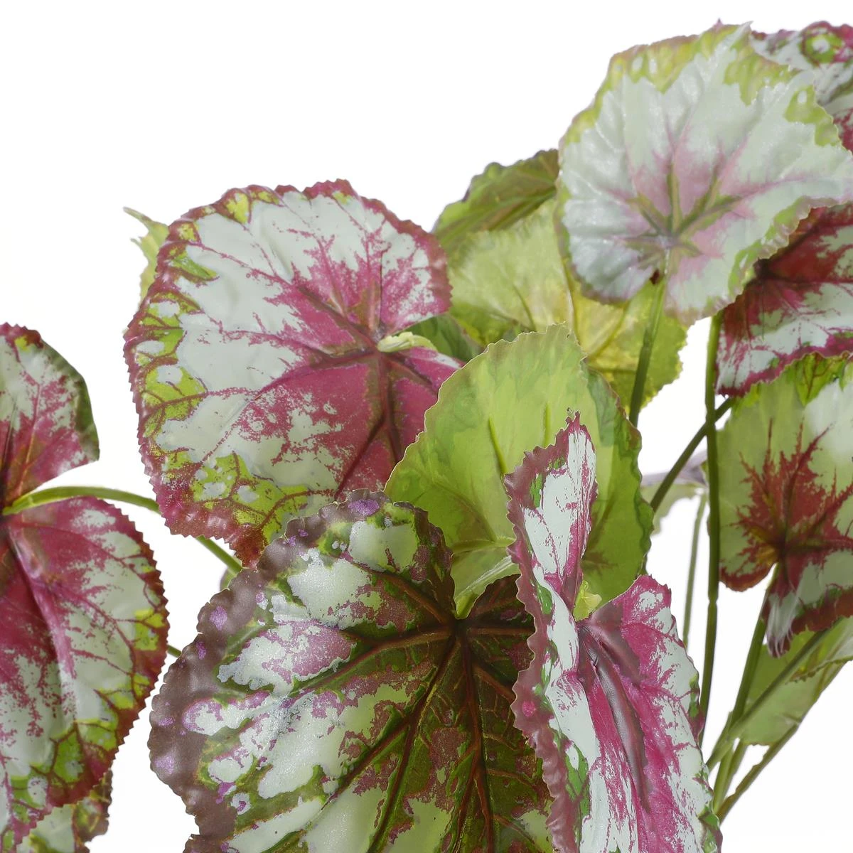 Mica Decorations Begonia Kunstplant - H40 X Ø38 Cm - Rood 6 Mica Decorations Begonia Kunstplant - H40 X Ø38 Cm - Rood - Afbeelding 4