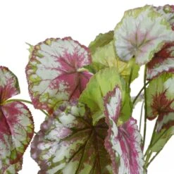 Mica Decorations Begonia Kunstplant - H40 X Ø38 Cm - Rood 13 Mica Decorations Begonia Kunstplant - H40 X Ø38 Cm - Rood -Meubels Voor Thuis 10793919