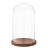 Clayre & Eef Stolp 28 Cm Hout Glas Rond Glazen Stolp -Meubels Voor Thuis 10824972
