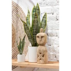 J-Line Plant Sansevieria In Pot Pvc Groen Small -Meubels Voor Thuis 10834755