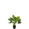 J-Line Pothos Plant In Pot Plastiek Groen -Meubels Voor Thuis 10834868