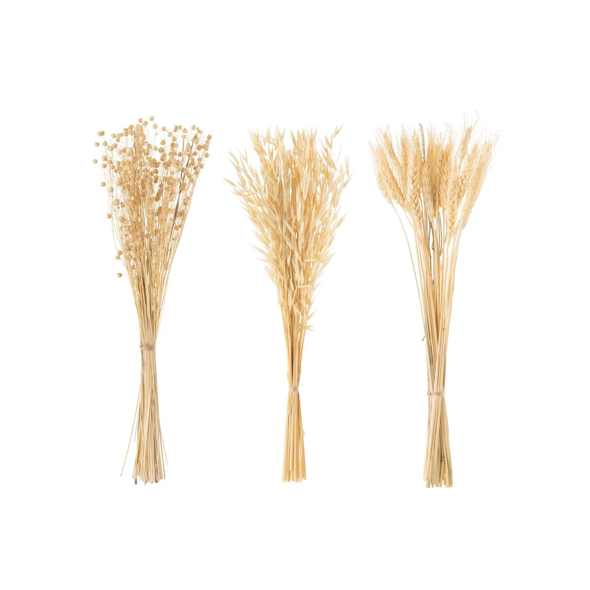 J-Line Bundel Gedroogde Bloemen Naturel Assortiment Van 3 4 J-Line Bundel Gedroogde Bloemen Naturel Assortiment Van 3 - Afbeelding 2