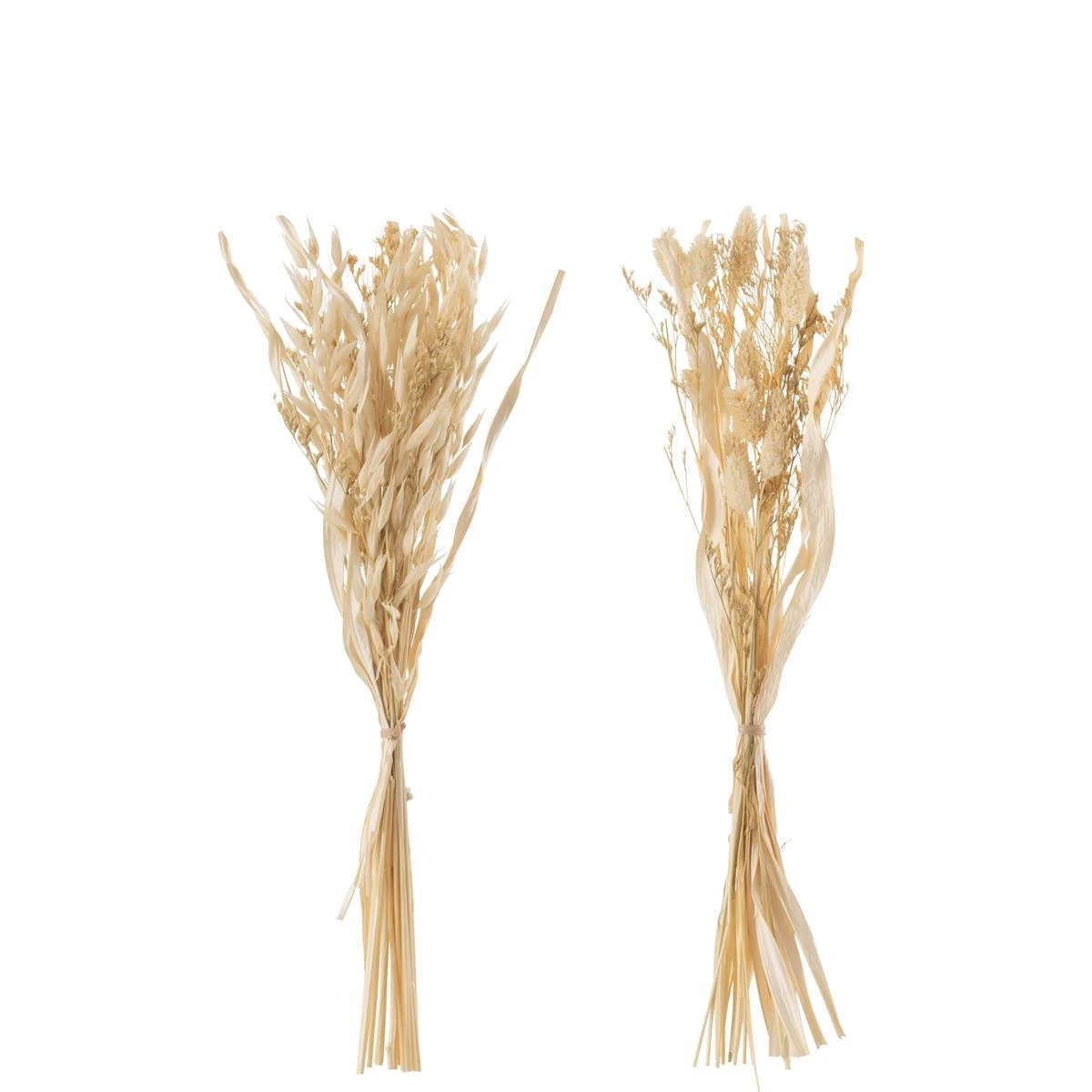 J-Line Bundel Gedroogde Avana Gras Naturel Assortiment Van 2 4 J-Line Bundel Gedroogde Avana Gras Naturel Assortiment Van 2 - Afbeelding 2