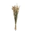 J-Line Droogbloemen - Bundel Pluim - Gedroogd Gras - Naturel 1 J-Line Droogbloemen - Bundel Pluim - Gedroogd Gras - Naturel -Meubels Voor Thuis 10837505