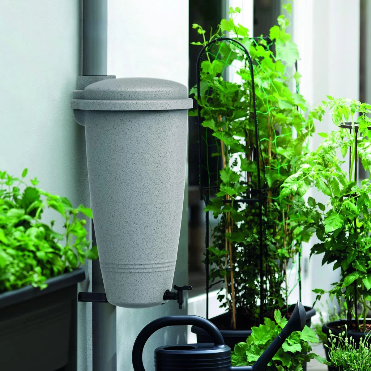 Elho Green Basics Regenton 35 L - Zilver 4 Elho Green Basics Regenton 35 L - Zilver - Afbeelding 2