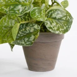 Mica Decorations Scindapsus Kunstplant - H44 X Ø17 Cm - Groen -Meubels Voor Thuis 11038306