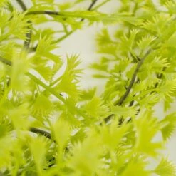 Mica Decorations Cypres Kunst Hangplant - H95 Cm - Groen -Meubels Voor Thuis 11047644