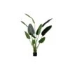 WOOOD Strelitzia Kunstplant - Groen - 96x164x63 -Meubels Voor Thuis 11055035