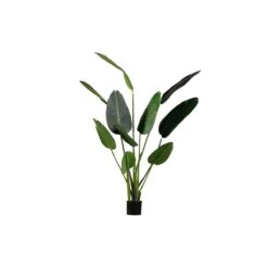 WOOOD Strelitzia Kunstplant - Groen - 96x164x63