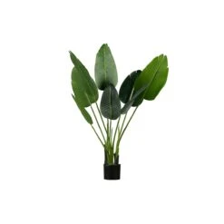 WOOOD Strelitzia Kunstplant - Groen - 61x108x50