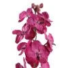 PTMD Orchidee Kunstbloem - 78 X 17 X 79 Cm - Kunststof - Paars -Meubels Voor Thuis 11071946