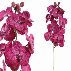 PTMD Orchidee Kunstbloem - 78 X 17 X 79 Cm - Kunststof - Paars -Meubels Voor Thuis 11071948