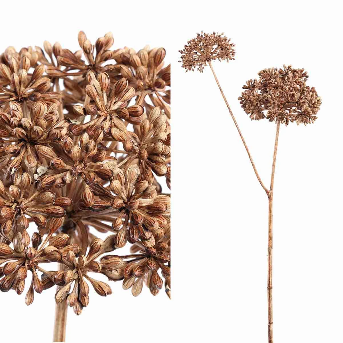 PTMD Eucalyptus Kunsttak - 29 X 22 X 79 Cm - Kunststof - Bruin 4 PTMD Eucalyptus Kunsttak - 29 X 22 X 79 Cm - Kunststof - Bruin - Afbeelding 2