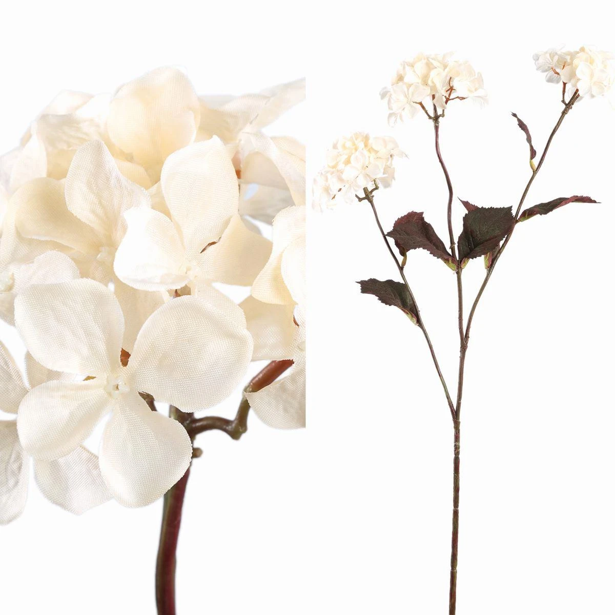 PTMD Gedroogde Hortensia Droogbloem - 43x23x77 Cm - Kunststof - Créme 4 PTMD Gedroogde Hortensia Droogbloem - 43x23x77 Cm - Kunststof - Créme - Afbeelding 2