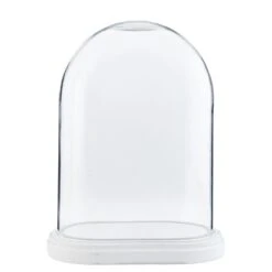 Clayre & Eef Stolp 26x15x33 Cm Hout Glas Ovaal Glazen Stolp