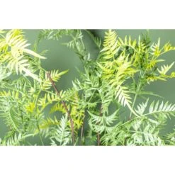 PTMD Paardestaart Kunstplant - 65 X 55 X 90 Cm - Kunststof - Groen -Meubels Voor Thuis 11191752